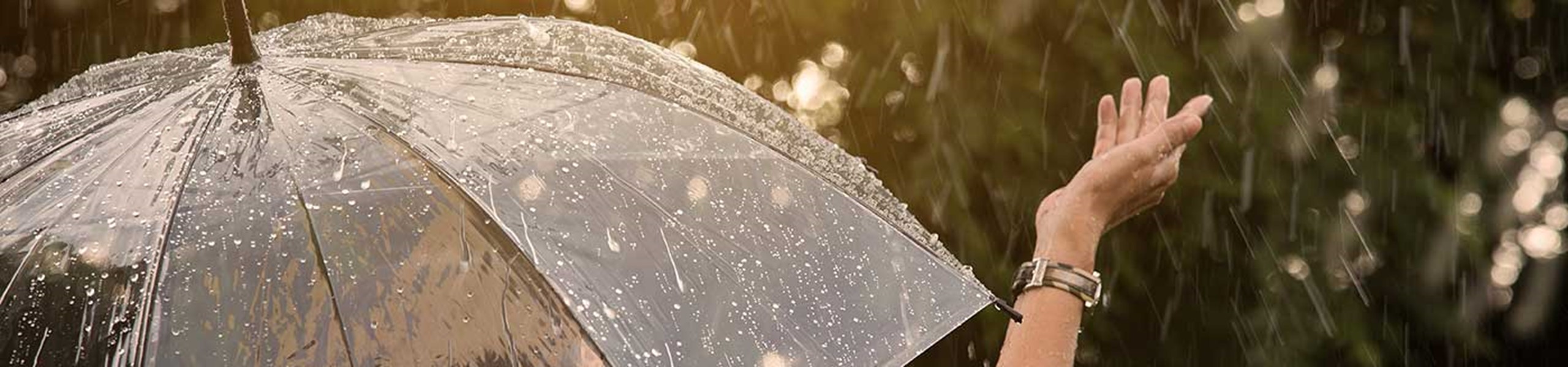 A perk for employees